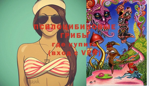 PSILOCYBIN Арсеньев