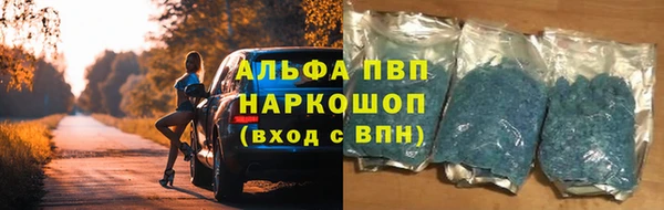 PSILOCYBIN Арсеньев